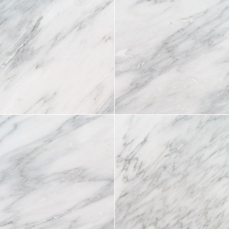 MS International Natural Stone Marble 12" x 12" Honed Arabescato Cararra