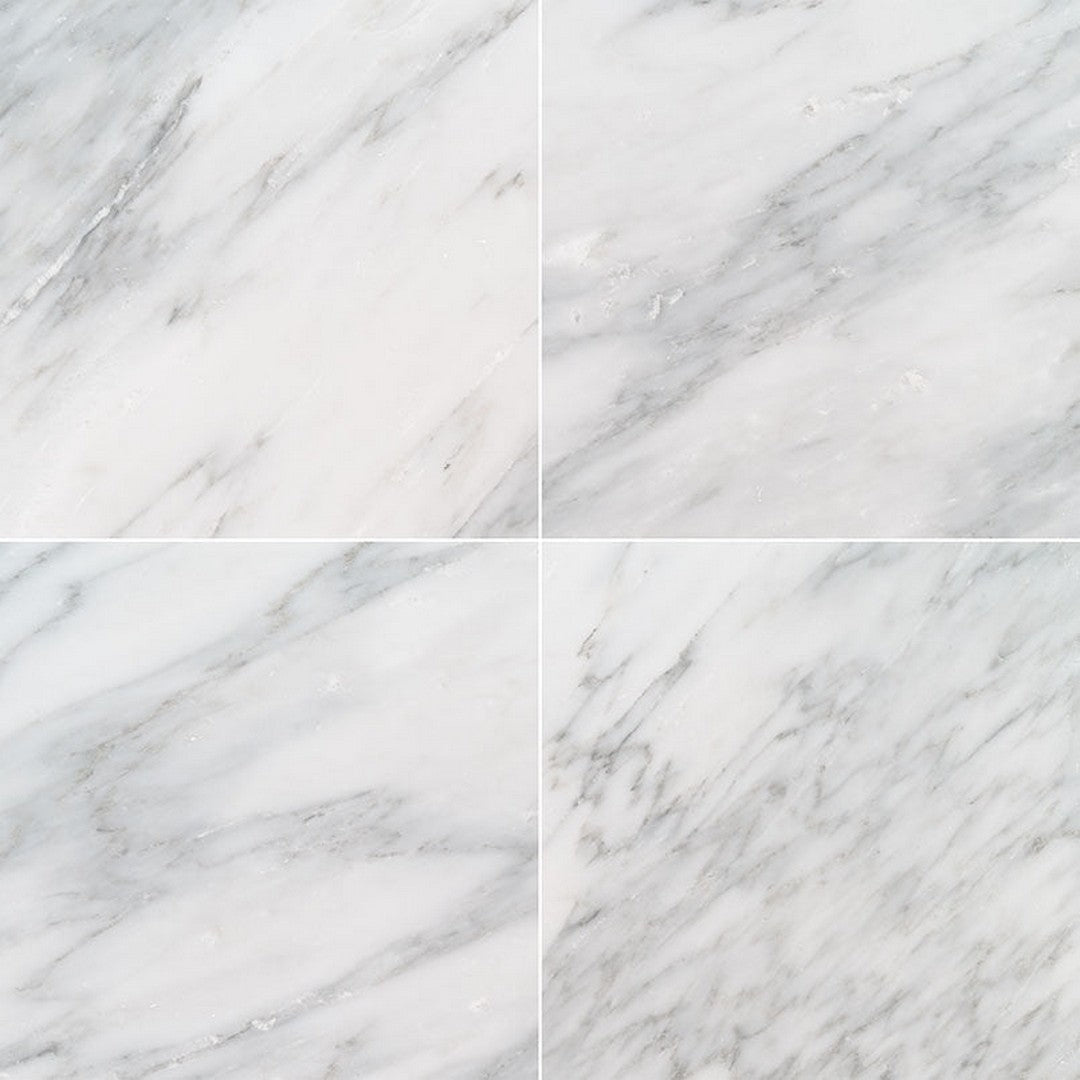 MS International Natural Stone Marble 18" x 18" Honed Arabescato Cararra