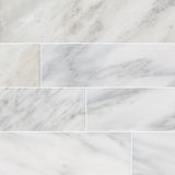 MS International Natural Stone Marble 18" x 36" Polished Arabescato Cararra