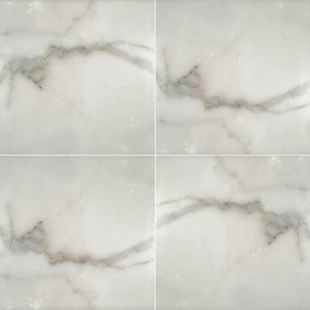 MS International Natural Stone Marble 12" x 12" Honed Calacatta Gold