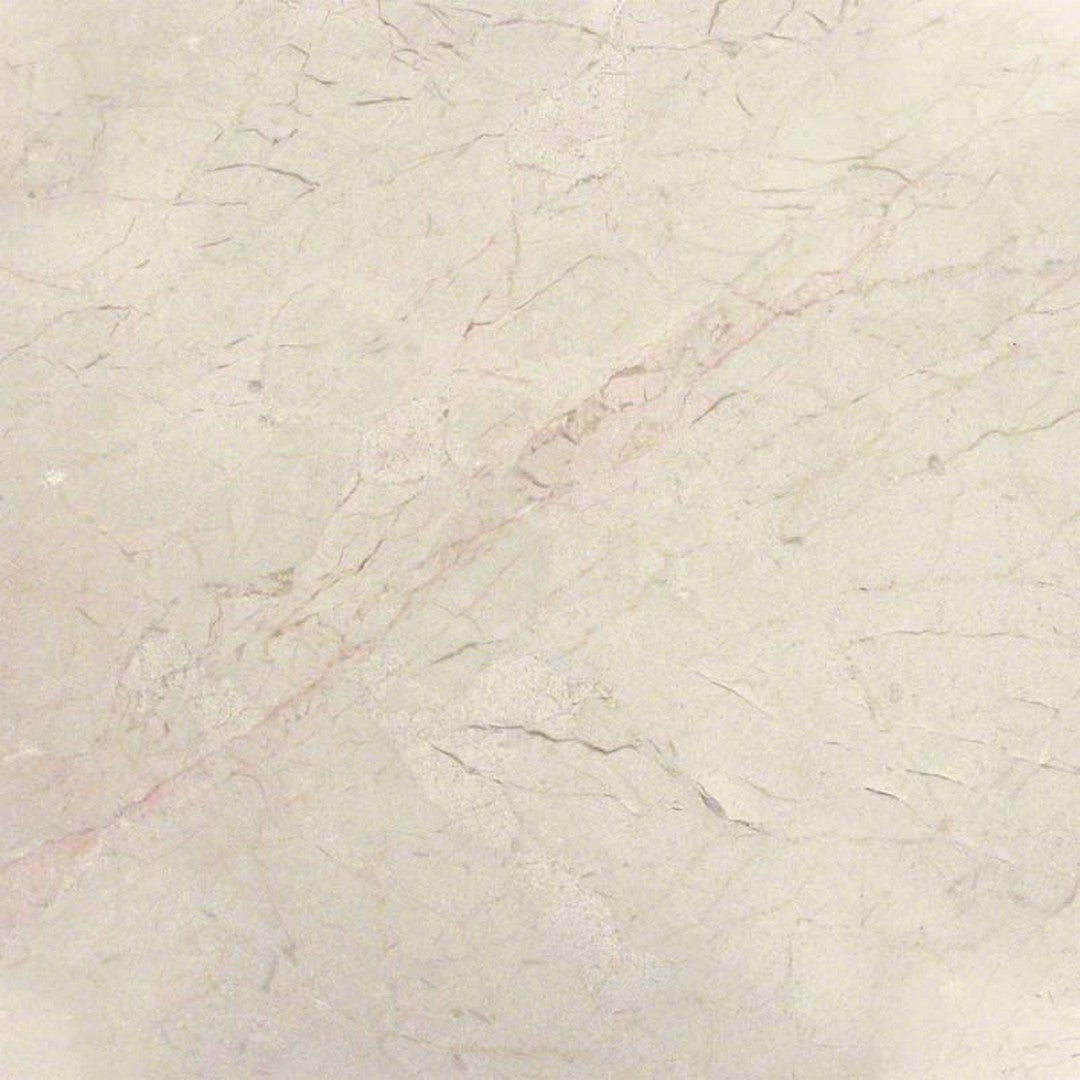 MS International Natural Stone Marble 12" x 12" Honed Crema Marfil Classic