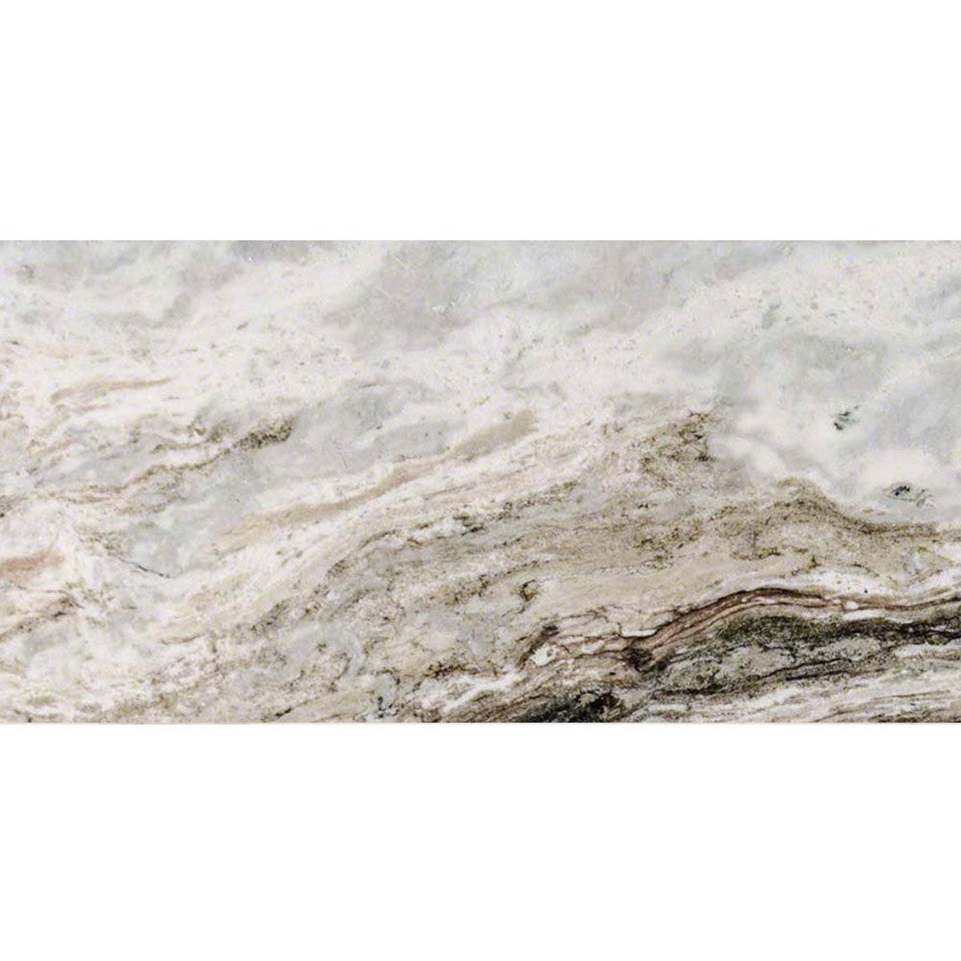 MS International Natural Stone Marble 12" x 24" Polished Fantasy Brown