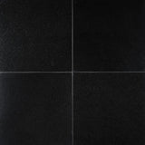 MS International Natural Stone Granite 18" x 18" Polished Premium Black-C