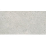 Daltile Stare Mystone Moon 24" X 48" Matte White