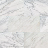 MS International Natural Stone Marble 12" x 24" Polished Arabescato Cararra