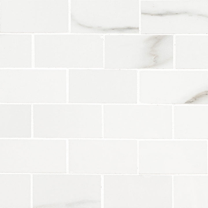 MS International Aria 2" x 4" Mosaic Polished Bianco