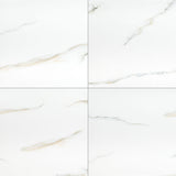 MS International Aria 24" x 24" Polished Bianco