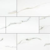 MS International Aria 12" x 24" Polished Bianco