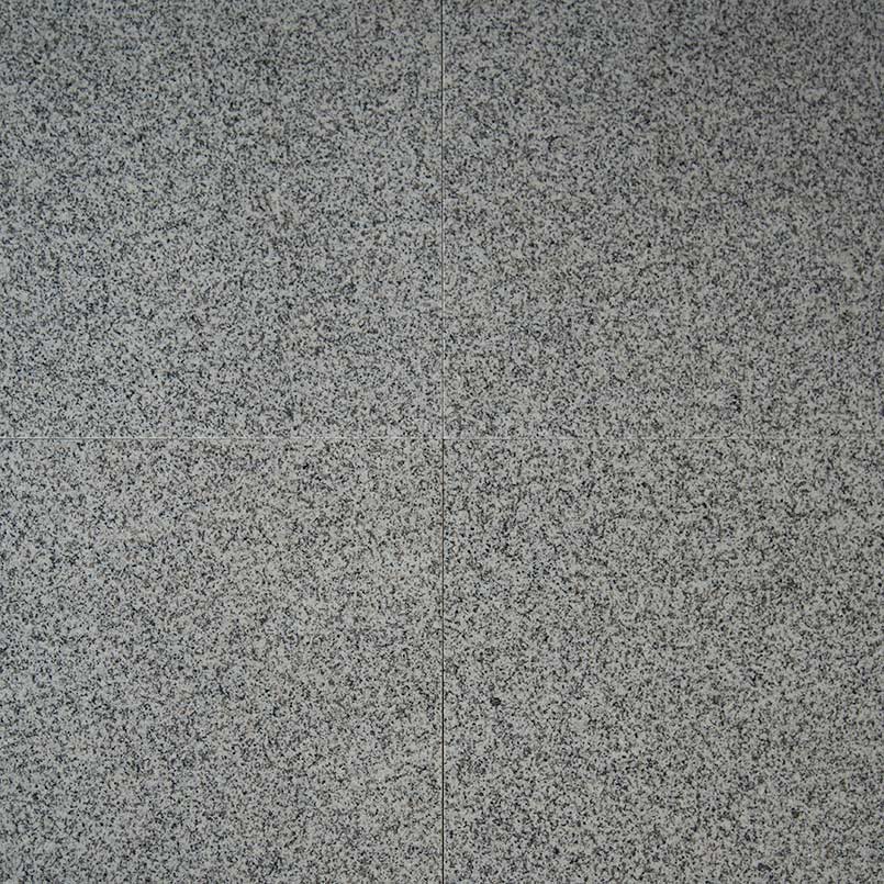 MS International Natural Stone Granite 12" x 12" Polished Bianco Catalina