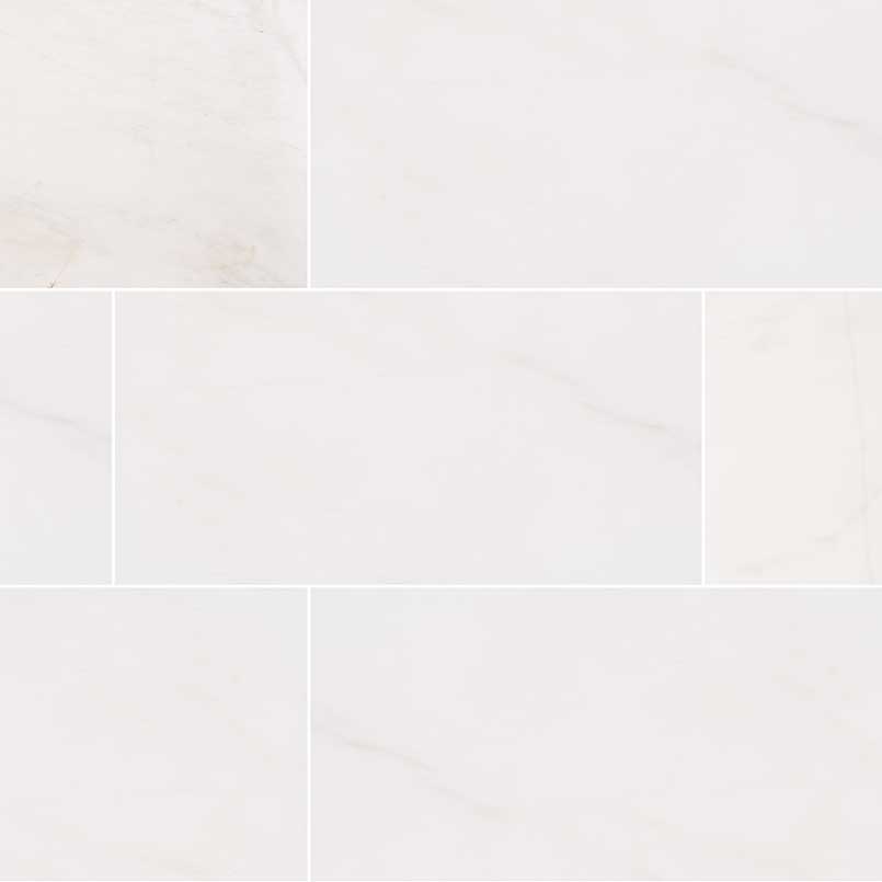 MS International Natural Stone Marble 12" x 24" Polished Bianco Dolomite