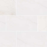 MS International Natural Stone Marble 12" x 24" Polished Bianco Dolomite