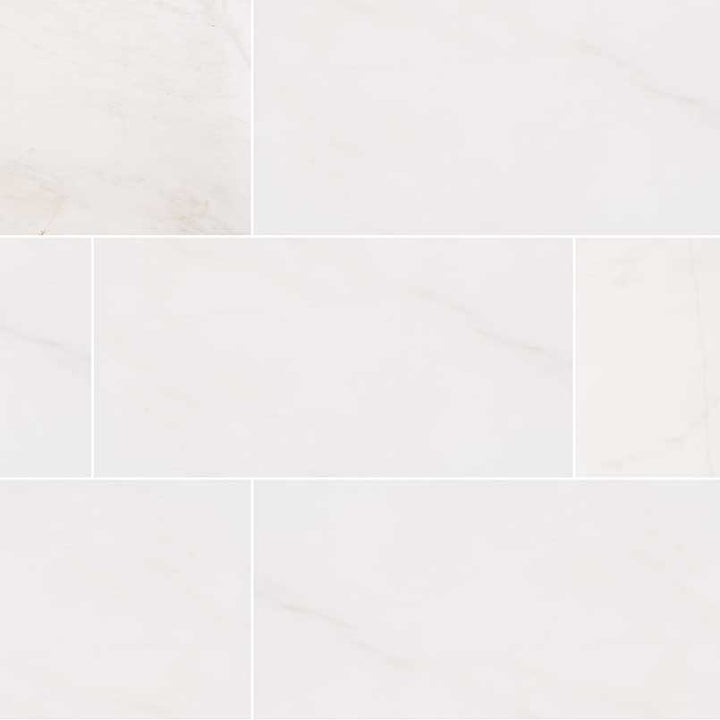 MS International Natural Stone Marble 12" x 24" Honed Bianco Dolomite