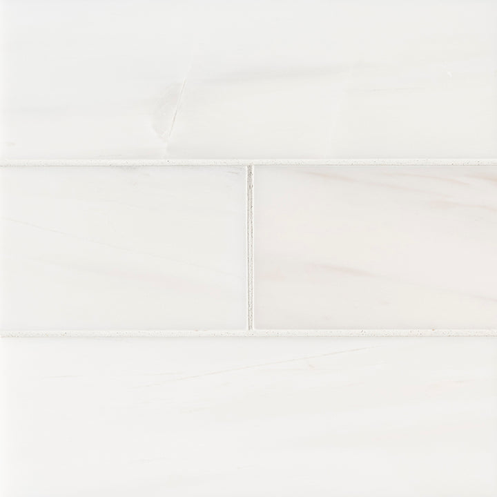 MS International Natural Stone Marble 4" x 12" Polished Bianco Dolomite