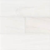 MS International Natural Stone Marble 4" x 12" Polished Bianco Dolomite