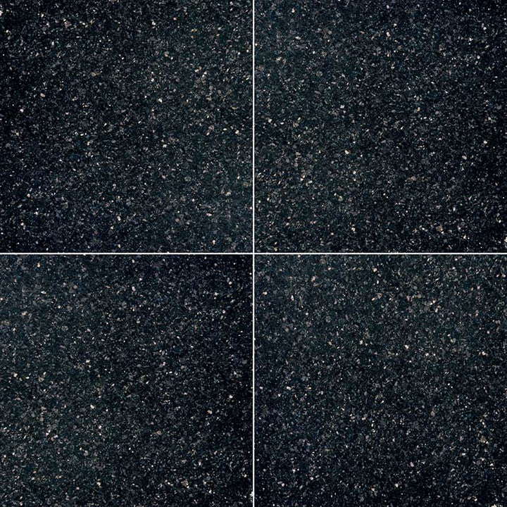 MS International Natural Stone Granite 18" x 18" Polished Black Galaxy