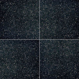 MS International Natural Stone Granite 18" x 18" Polished Black Galaxy