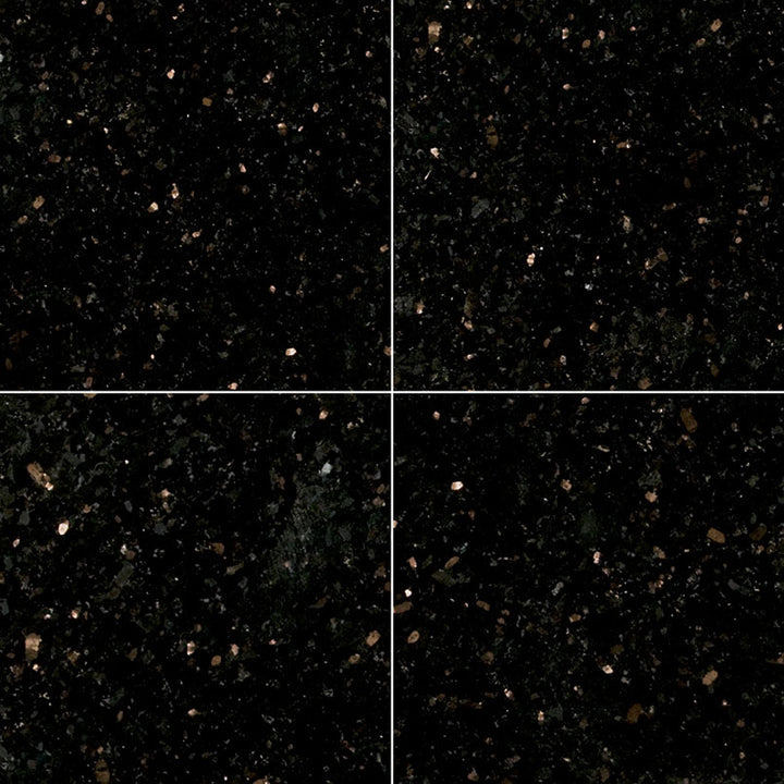 MS International Natural Stone Granite 24" x 24" Polished Black Galaxy