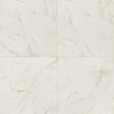 MS International Kaya 24" x 24" Matte Carrara Bianco