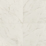 MS International Kaya 24" x 24" Polished Carrara Bianco