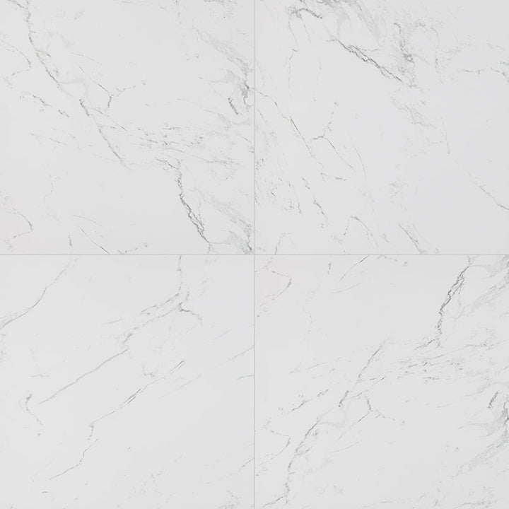 MS International Pietra 24" x 24" Matte Carrara