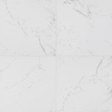 MS International Pietra 24" x 24" Matte Carrara