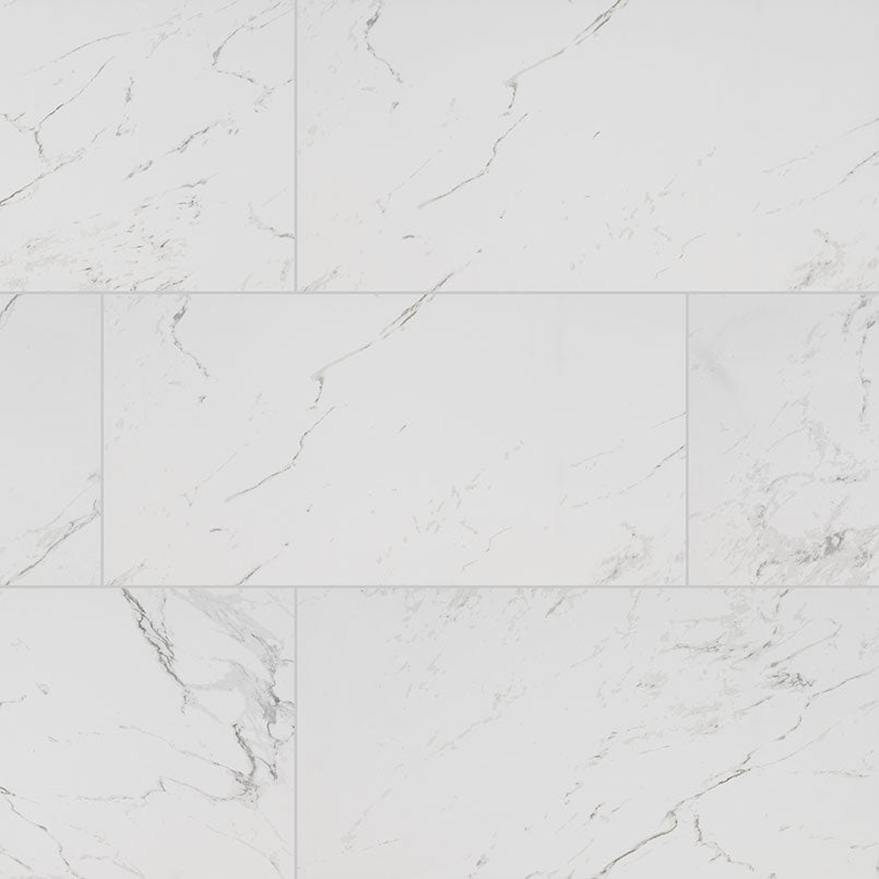 MS International Pietra 12" x 24" Polished Carrara