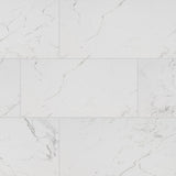 MS International Pietra 12" x 24" Polished Carrara