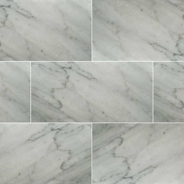 MS International Natural Stone Marble 12" x 24" Honed Carrara White