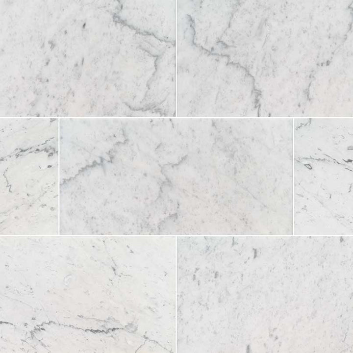 MS International Natural Stone Marble 12" x 24" Polished Carrara White