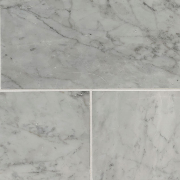 MS International Natural Stone Marble 6" x 12"  Carrara White