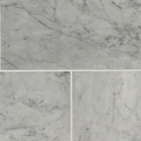 MS International Natural Stone Marble 6" x 12"  Carrara White