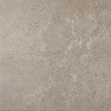 Daltile Artiquity 18'' X 18'' Matte Renoir Grey