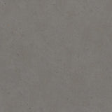 Daltile Stare Mystone Moon 36" X 70" Matte Grey