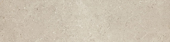 Daltile Dignitary 12" X 24" Matte Notable Beige