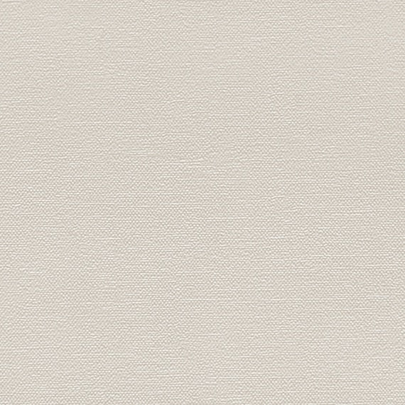 Daltile Stare Apothesis 10" X 30" Matte Canvas