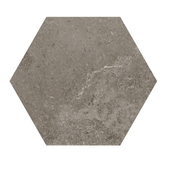 Daltile Scripter 8" Hexagon Rebel