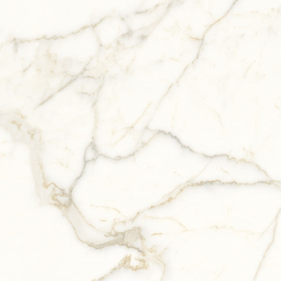 Daltile Ravel 32" X 32" Matte Opal