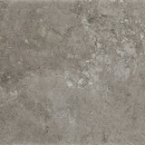 Daltile Scripter 24" X 24" Rebel