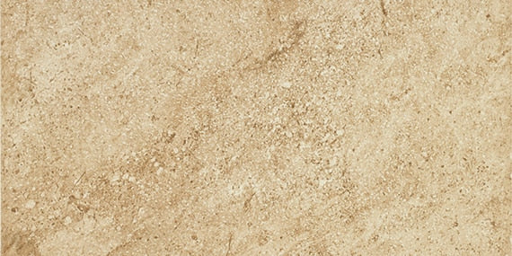 Daltile Choice 12" X 24"  Umber