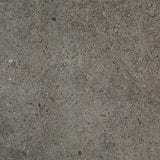 Daltile Industrial Park 12" X 24"  Charcoal Gray