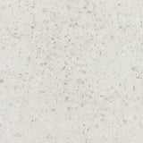 Daltile Outlander 24" X 24" Grande Sterling