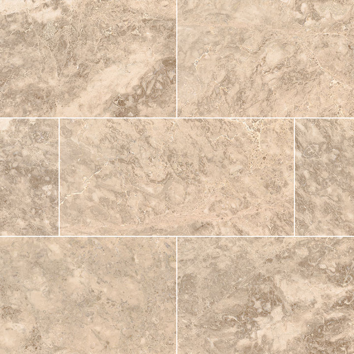 MS International Natural Stone Marble 12" x 24" Polished Crema Cappuccino