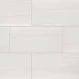 MS International Eden 12" x 24" Polished Dolomite