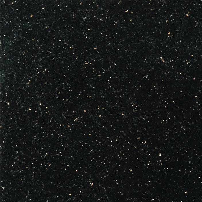 Emser Granite 12"x12"  Galaxy Black