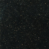 Emser Granite 12"x12"  Galaxy Black