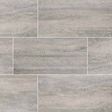 MS International Veneto 12" x 24" Matte Gray