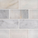 MS International Natural Stone Marble 3" x 6"  Greecian White