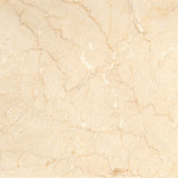 Emser Crema Marfil 12"x12"  Classico