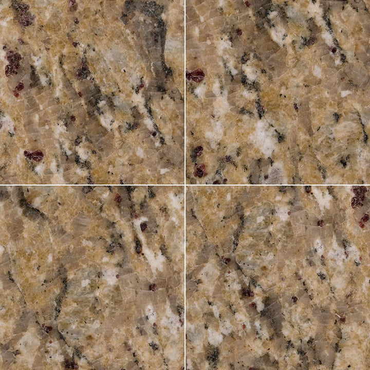 MS International Natural Stone Granite 12" x 12" Polished New Venetian