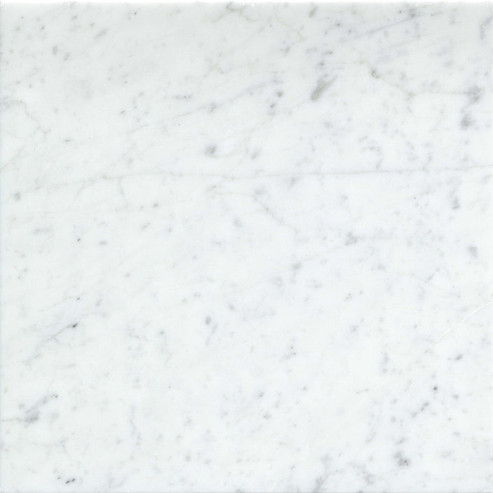 Emser Marble Gioia 12"x12" Honed Bianco